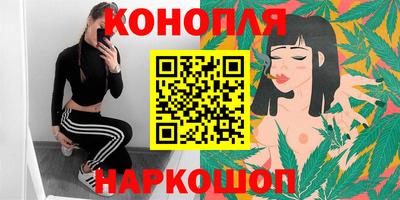 Альфа ПВП Аргун