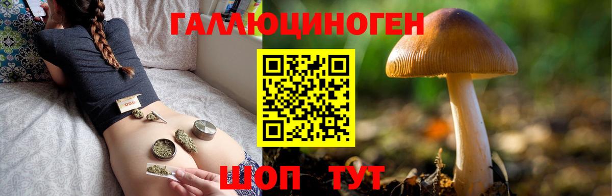 Воскресенск  Галлюциногенные грибы Psilocybe  Вход с VPN 
